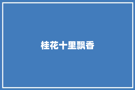 桂花十里飘香