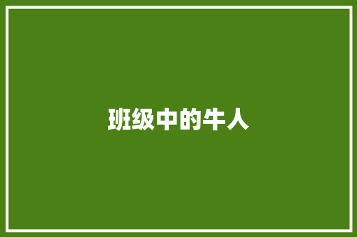 班级中的牛人