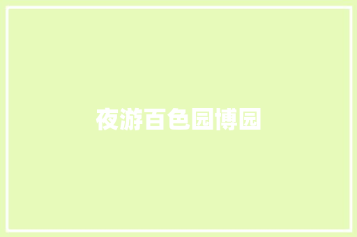 夜游百色园博园