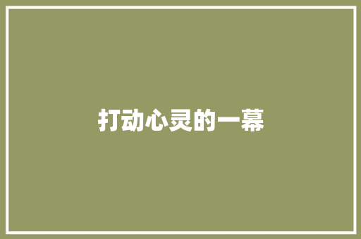 打动心灵的一幕