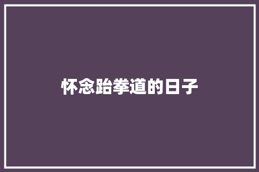 怀念跆拳道的日子