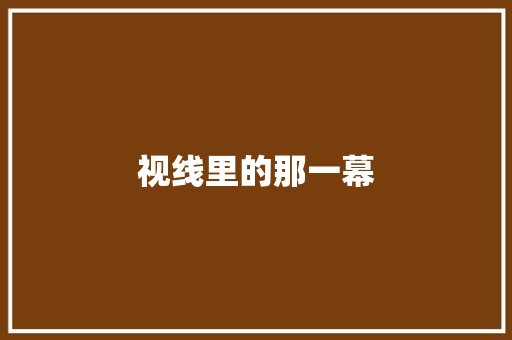 视线里的那一幕