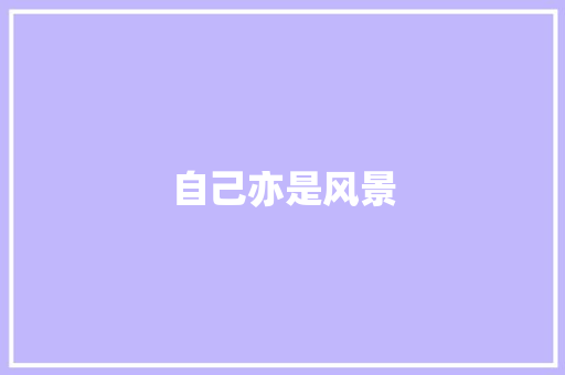 自己亦是风景
