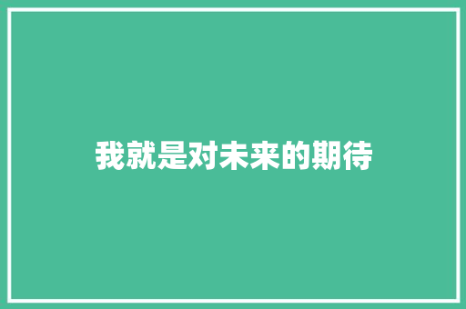 我就是对未来的期待