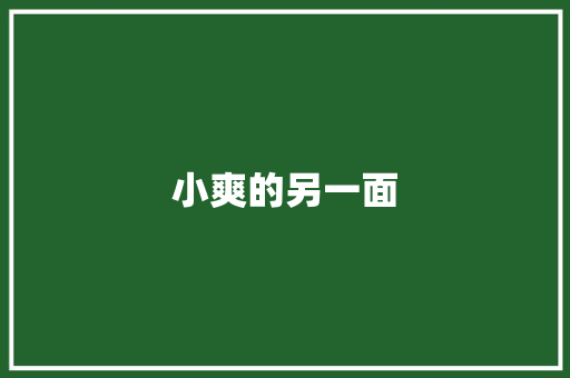 小爽的另一面