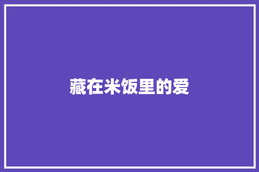 藏在米饭里的爱