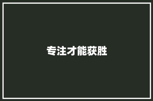 专注才能获胜