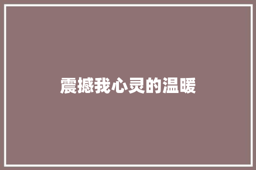 震撼我心灵的温暖