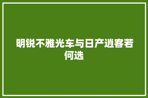 明锐不雅光车与日产逍客若何选 汽车知识