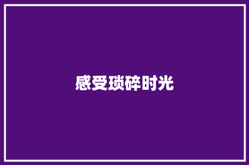 感受琐碎时光
