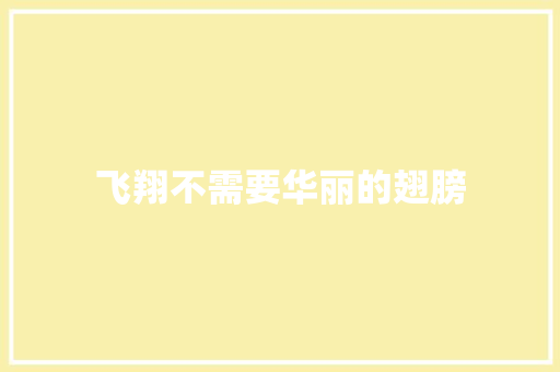 飞翔不需要华丽的翅膀