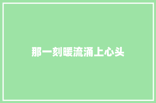 那一刻暖流涌上心头