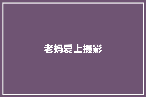 老妈爱上摄影