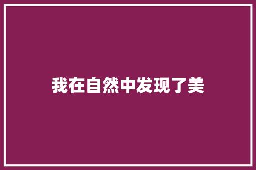 我在自然中发现了美