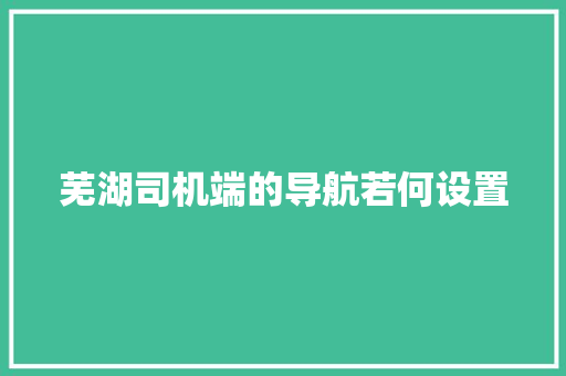 芜湖司机端的导航若何设置