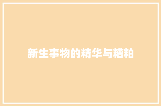 新生事物的精华与糟粕