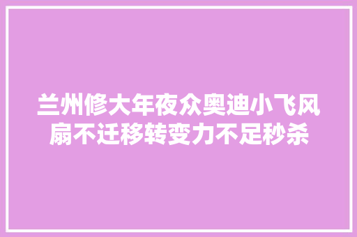 兰州修大年夜众奥迪小飞风扇不迁移转变力不足秒杀