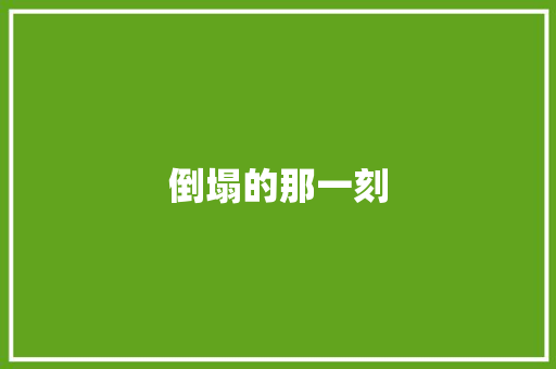 倒塌的那一刻