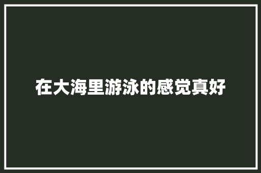 在大海里游泳的感觉真好