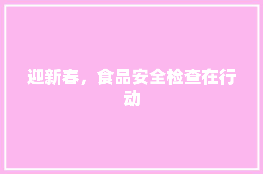 迎新春，食品安全检查在行动
