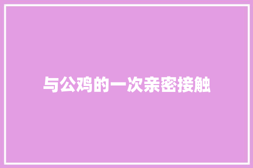与公鸡的一次亲密接触 知识百科