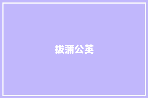 拔蒲公英