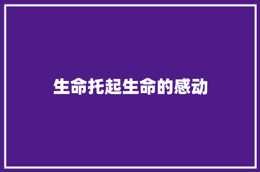 生命托起生命的感动