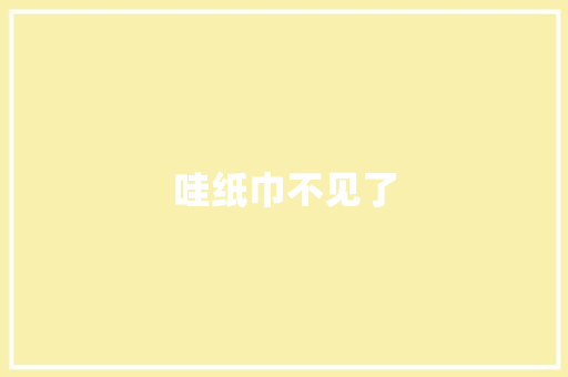 哇纸巾不见了