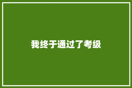 我终于通过了考级