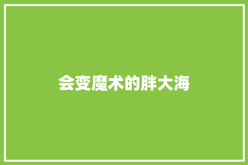 会变魔术的胖大海