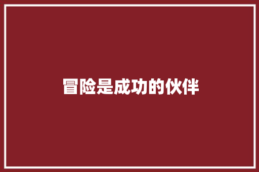 冒险是成功的伙伴