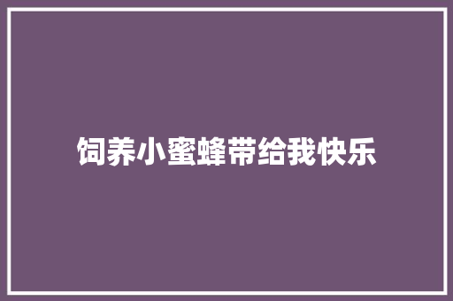 饲养小蜜蜂带给我快乐