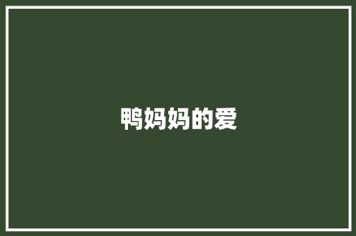 鸭妈妈的爱