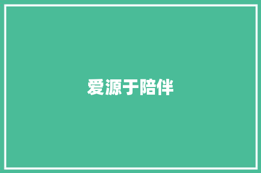 爱源于陪伴