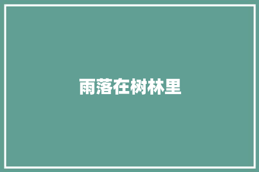 雨落在树林里