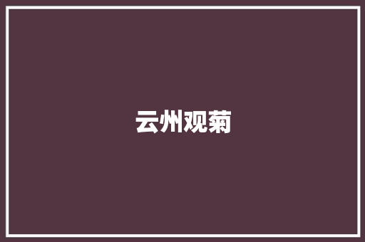 云州观菊