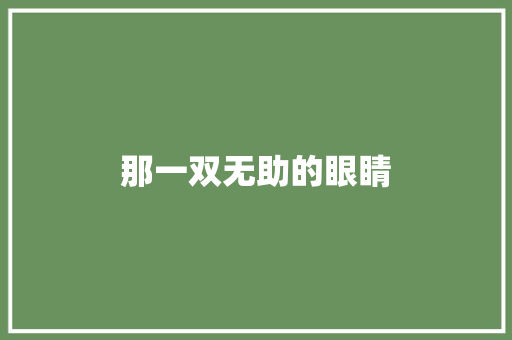 那一双无助的眼睛