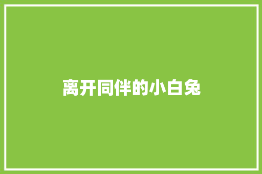 离开同伴的小白兔