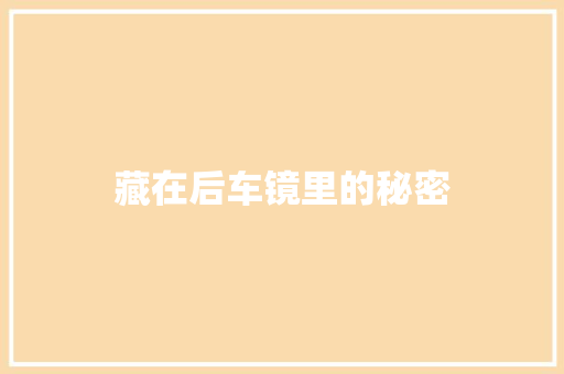 藏在后车镜里的秘密