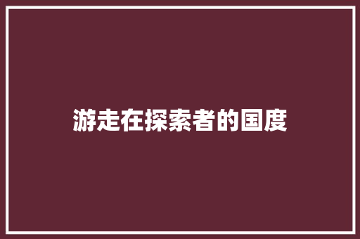 游走在探索者的国度