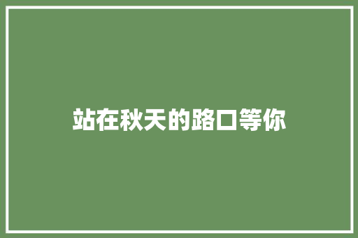 站在秋天的路口等你