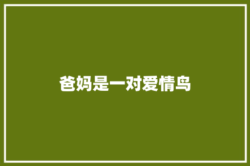 爸妈是一对爱情鸟