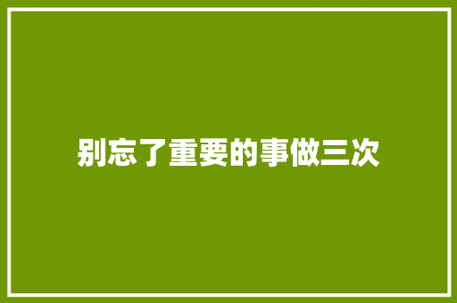 别忘了重要的事做三次