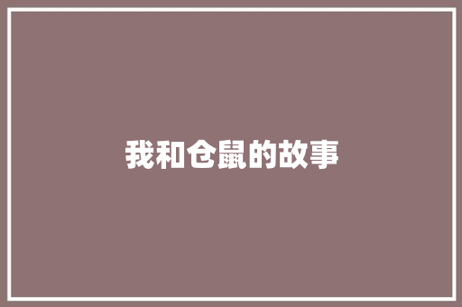 我和仓鼠的故事
