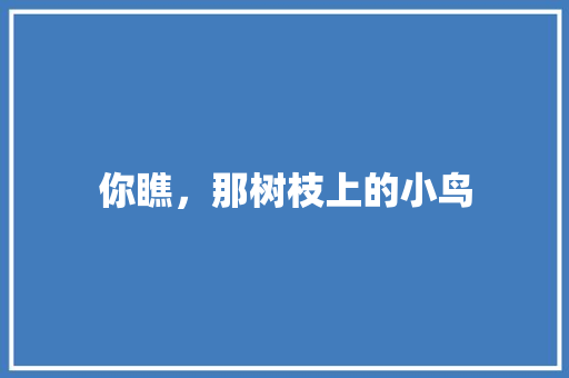 你瞧，那树枝上的小鸟