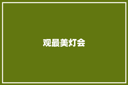 观最美灯会