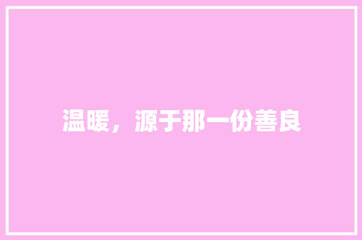 温暖，源于那一份善良