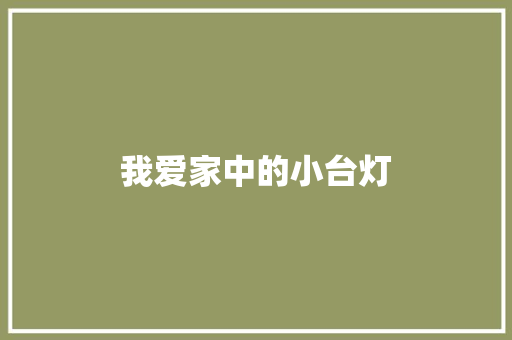 我爱家中的小台灯