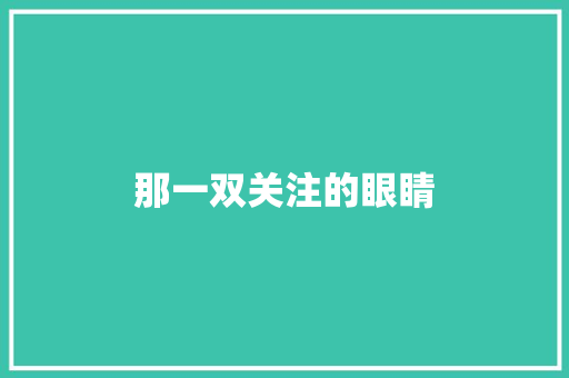 那一双关注的眼睛