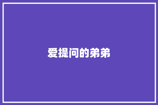 爱提问的弟弟